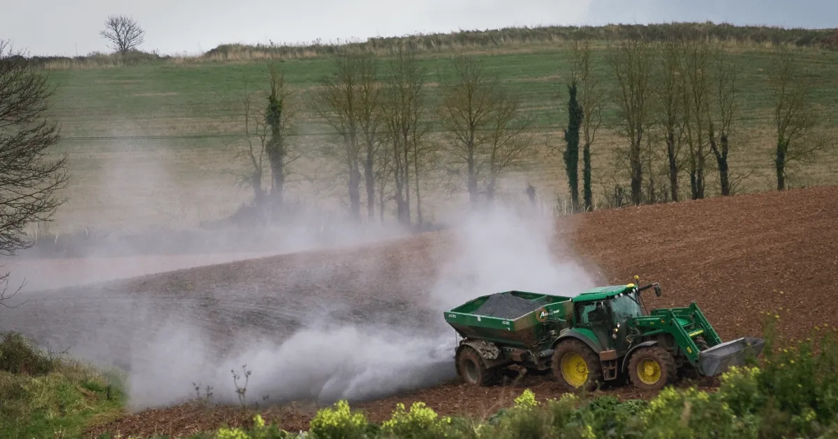 Jakie wapno na dofinansowanie? Sprawdź, co musisz wiedzieć