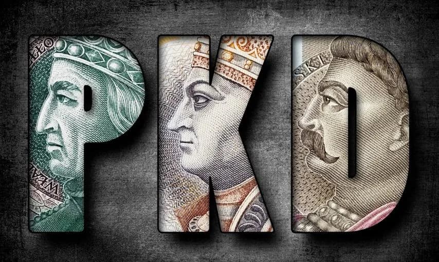 Ryczałt 15 jakie PKD – sprawdź, które kody pozwalają oszczędzać