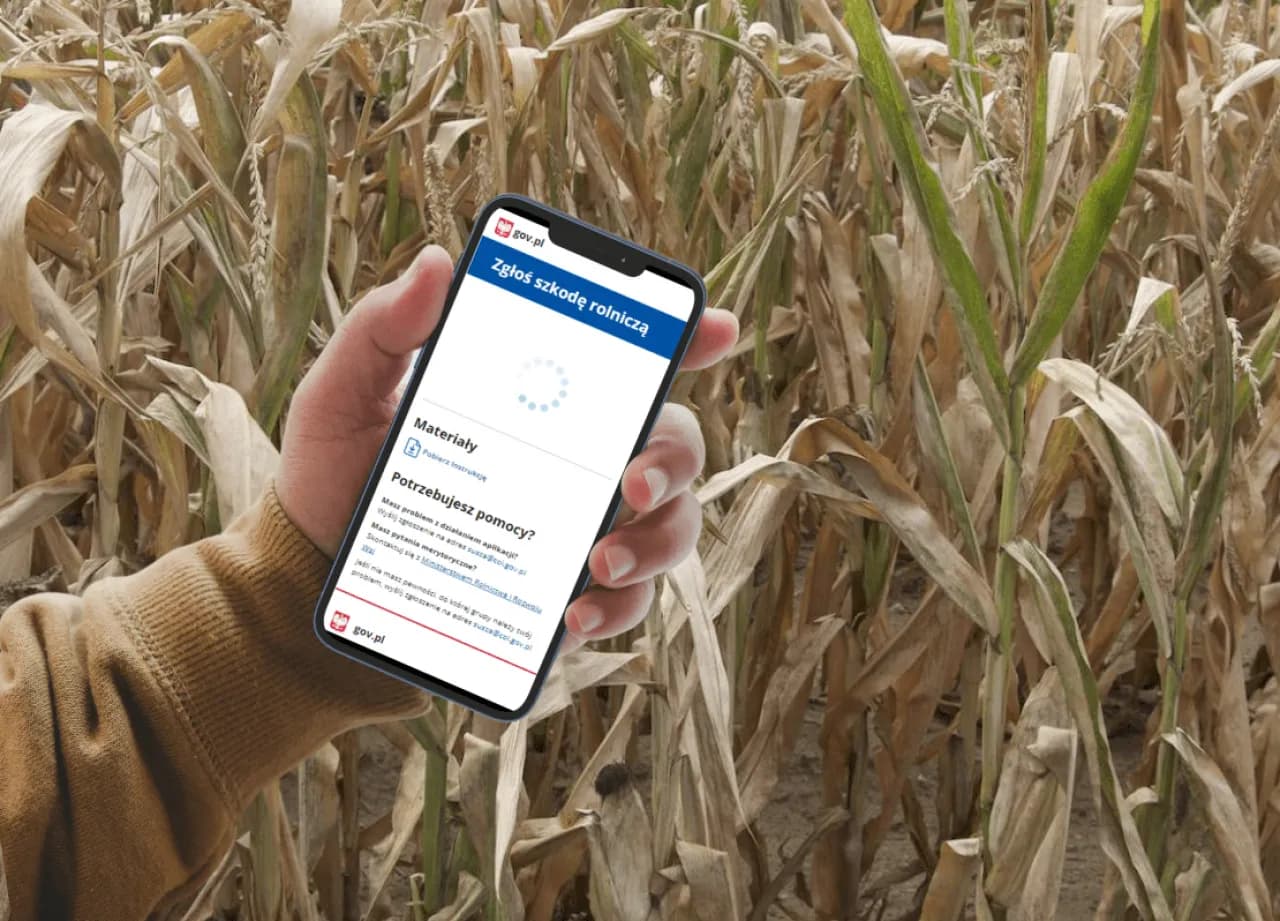 Jak złożyć wniosek suszowy krok po kroku i uniknąć błędów