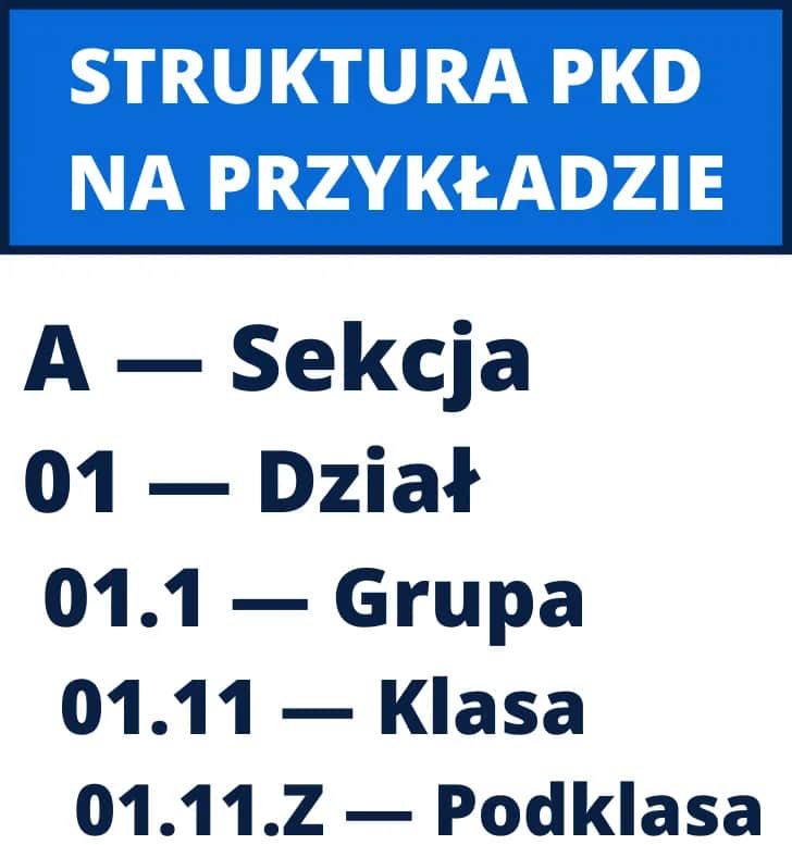 Co to jest klasa działalności PKD i dlaczego jest kluczowa dla Twojej firmy